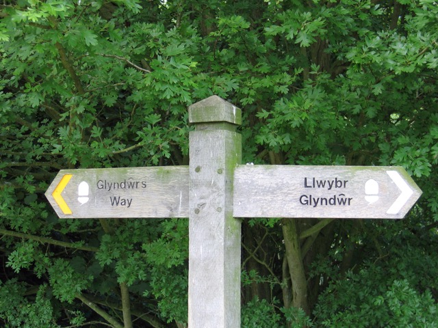  Glyndwr's