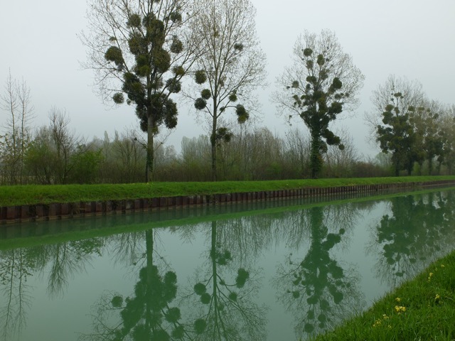 Canal latéral de la Marne