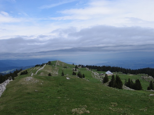 Mont Tendre