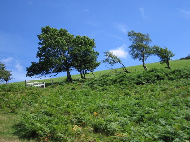 Rhyd-yr-aderyn