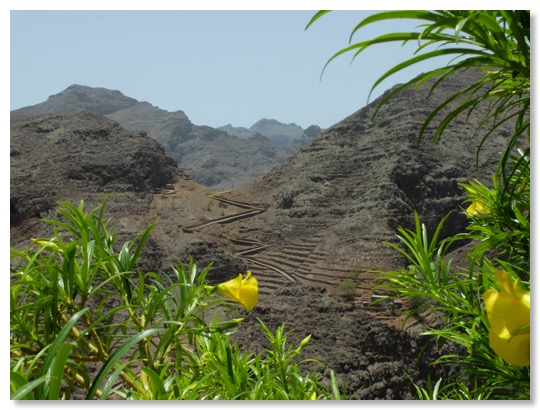 Figueiras Cabo Verde