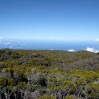 90260760-F45B-4E7B-AD94-D10F9295EFFF_1_105_c.jpeg