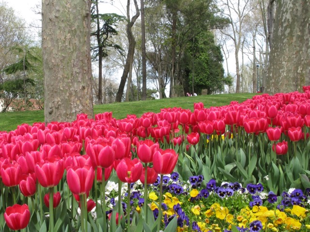 G&uuml;lhane parkı