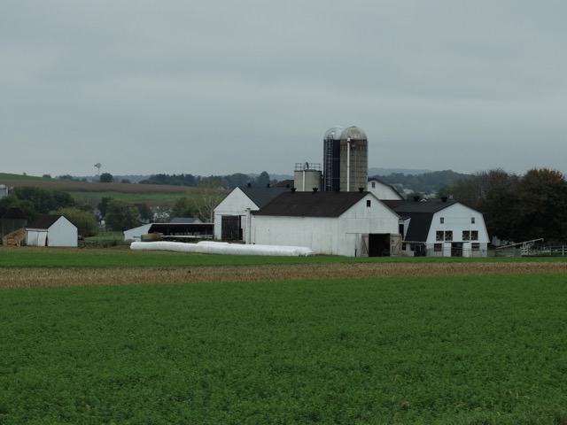 Lancaster County &ndash; ferme Amish