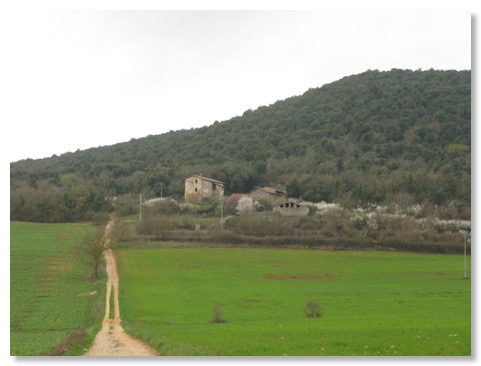 cerbaie toscane